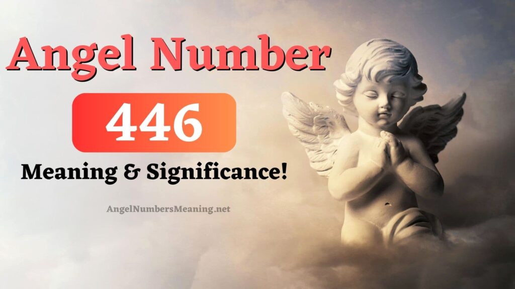 446 Angel Number