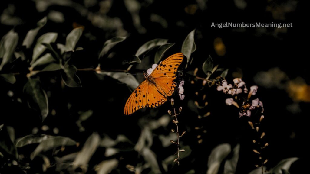 Spiritual Meaning of Black and Yellow Butterfly