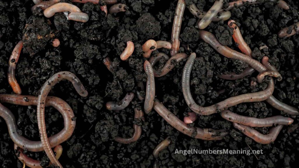 Meaning of Worms in a Dream