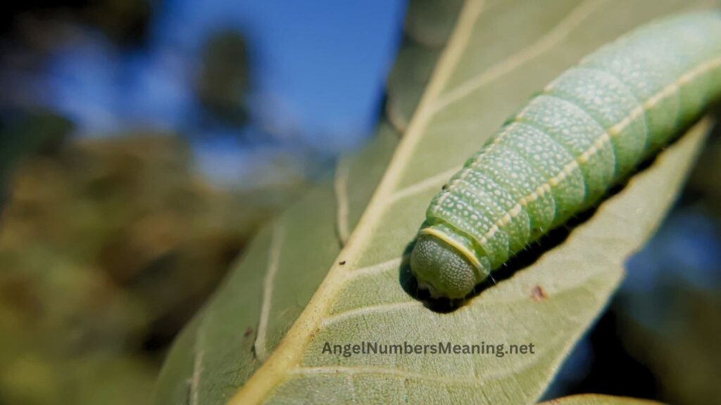 Meaning of Worms in a Dream