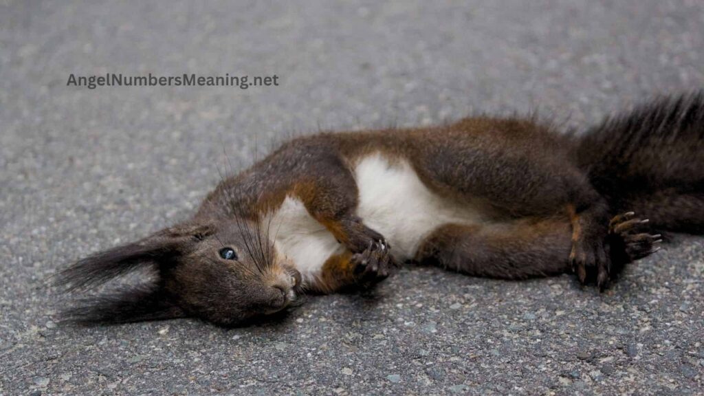 Understanding the Dead Squirrel Dream Symbol