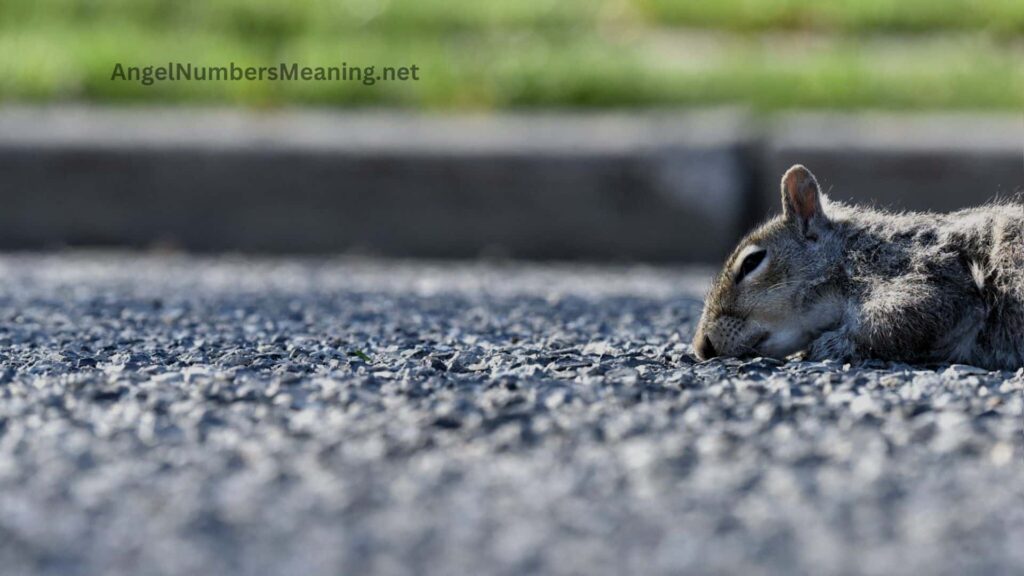 Understanding the Dead Squirrel Dream Symbol