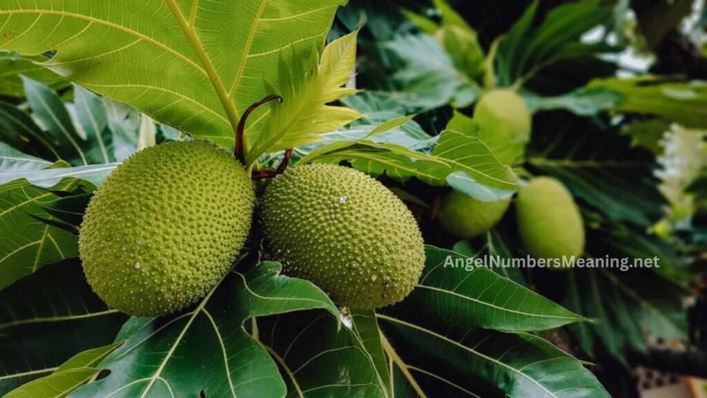 Biblical Meaning of Breadfruit in Dreams