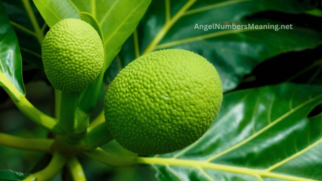 Biblical Meaning of Breadfruit in Dreams