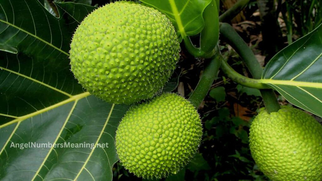 Biblical Meaning of Breadfruit in Dreams