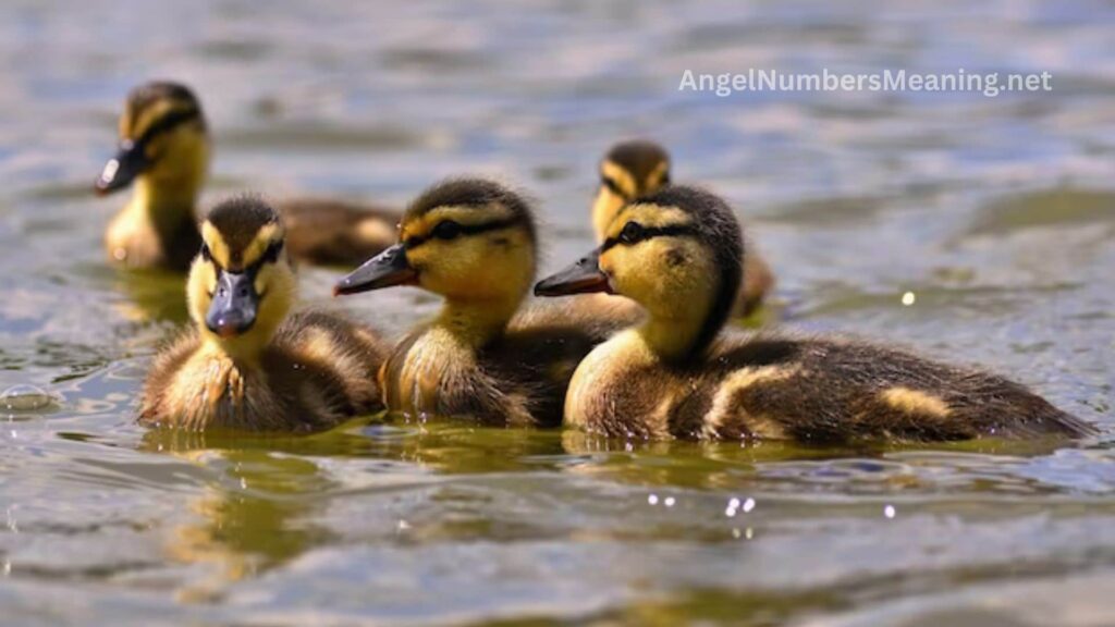 Biblical Meaning of Duckling in Dreams