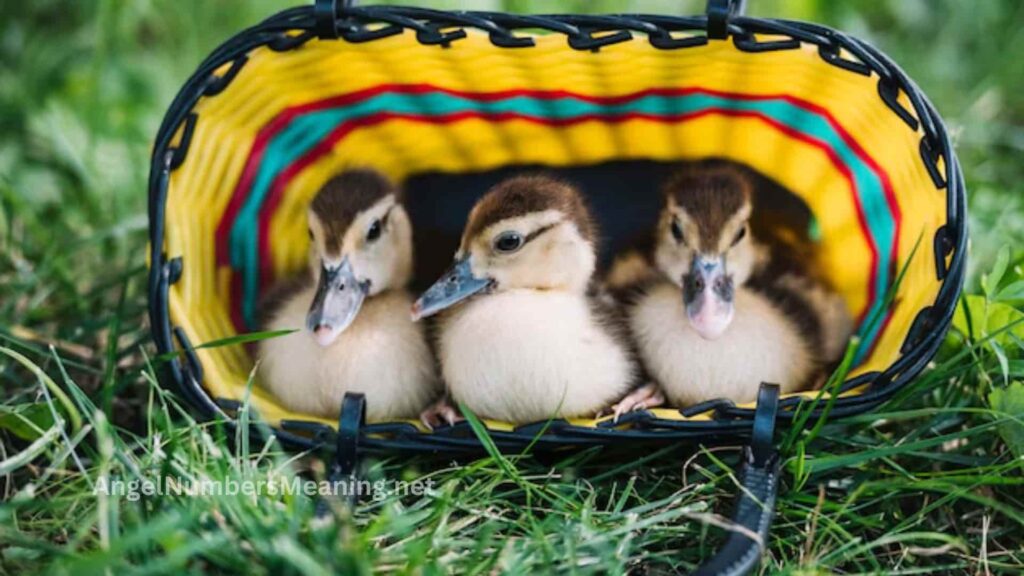 Biblical Meaning of Duckling in Dreams