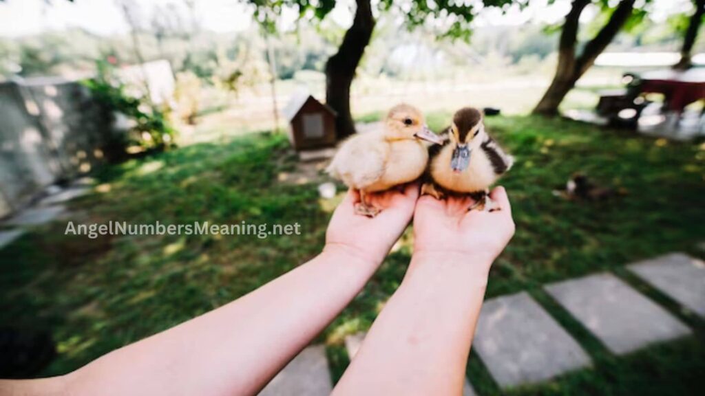 Biblical Meaning of Duckling in Dreams