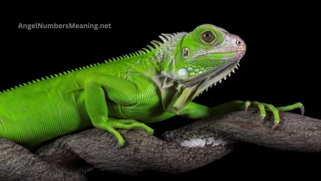 Biblical Meaning of Iguana in Dreams