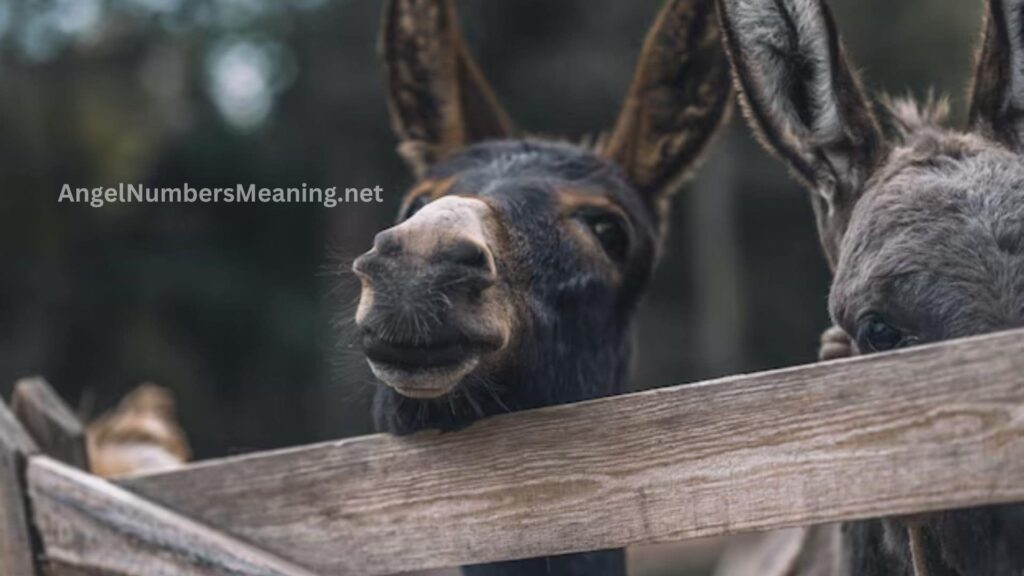 Donkey Dream Meaning