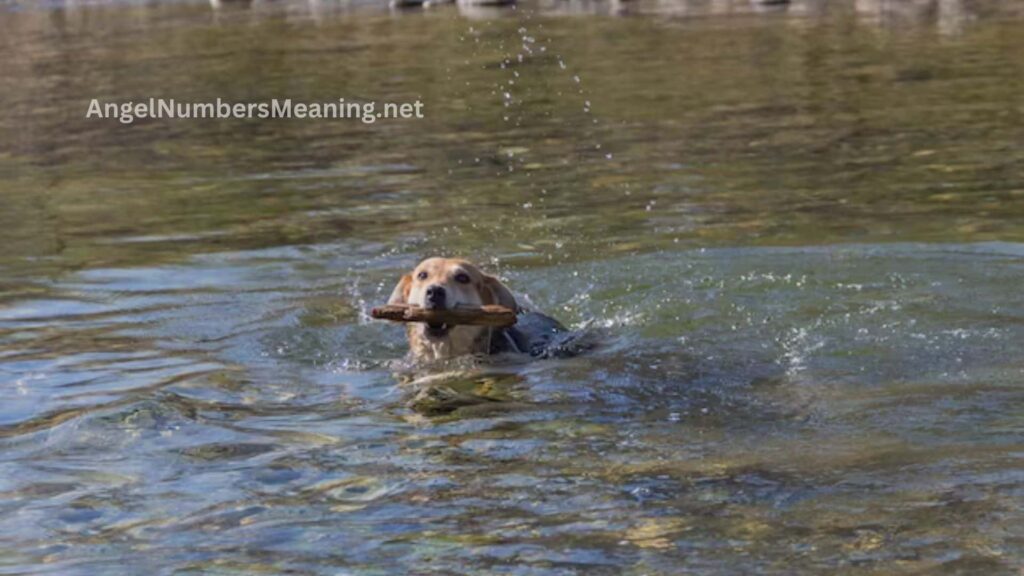 Saving Drowning Dog Dream Meaning