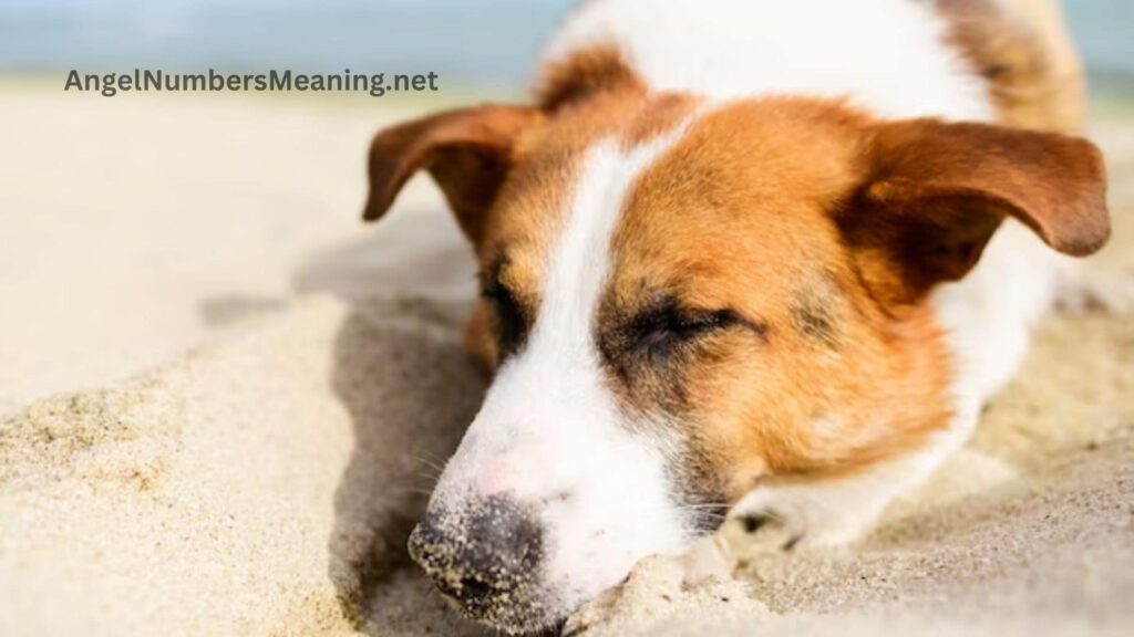 Saving Drowning Dog Dream Meaning