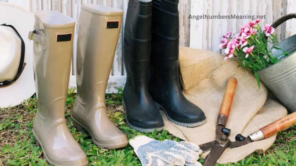 Wellington Boots Dream Meaning