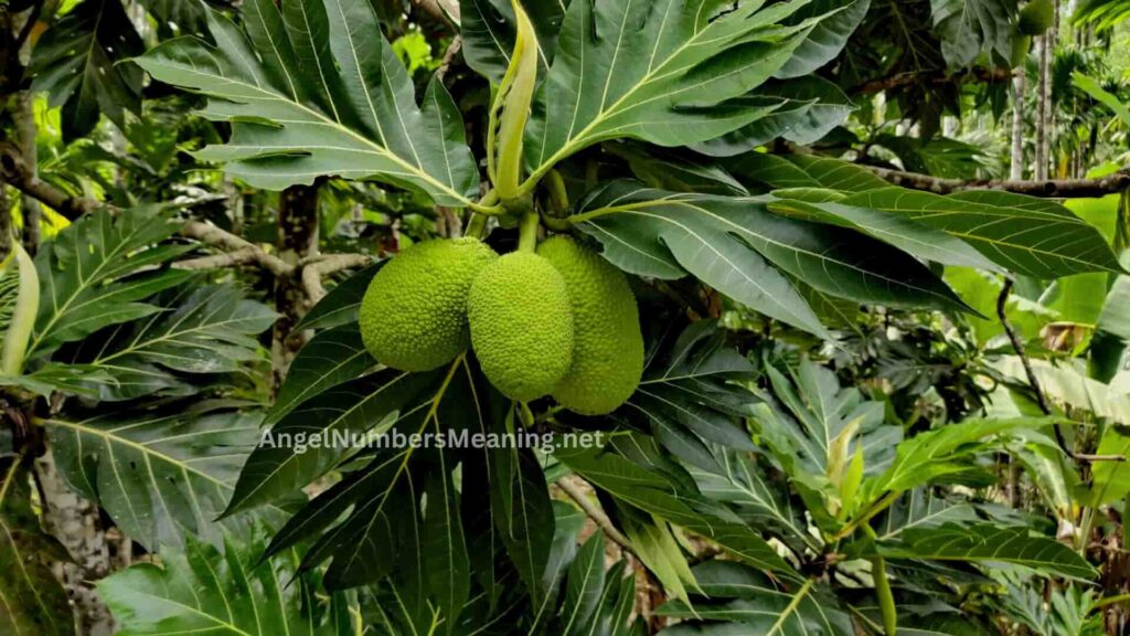 Biblical Meaning of Breadfruit in Dreams