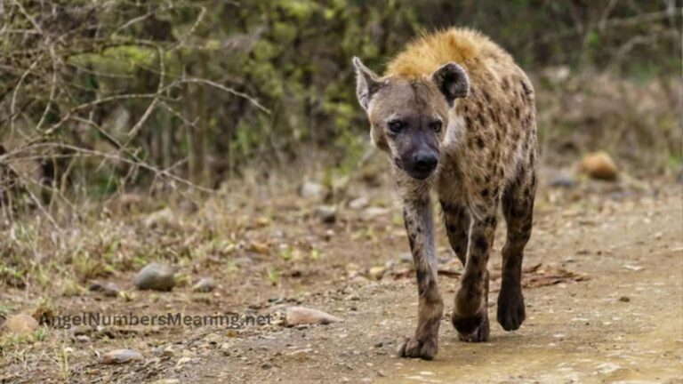 Biblical Meaning of Hyenas in Dreams