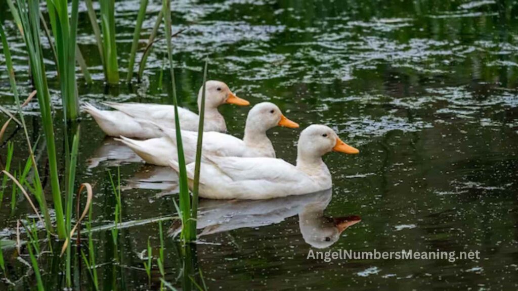 Biblical Meaning of Duckling in Dreams