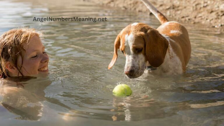 Saving Drowning Dog Dream Meaning