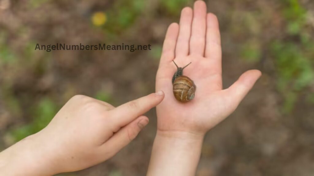 Meaning of Picking Plenty Snails in the Dream