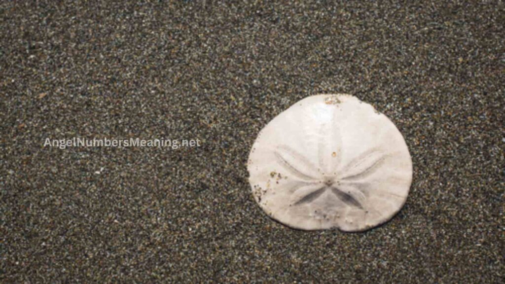 Symbolism of Sand Dollar in Dreams